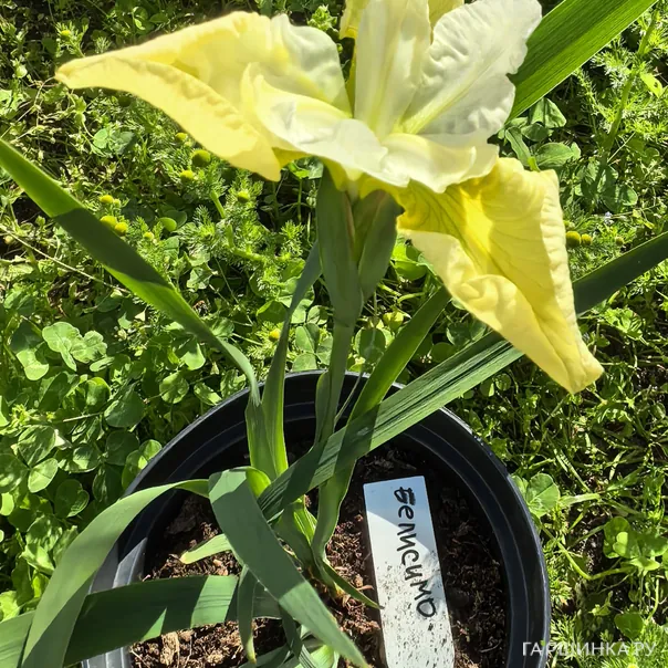 превью изображения отзыва