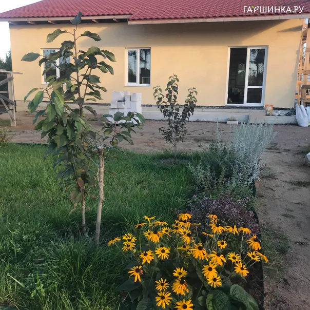 превью изображения отзыва