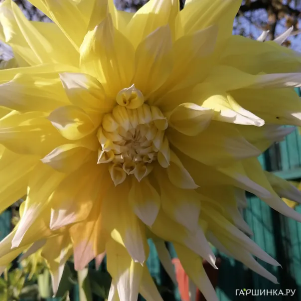 превью изображения отзыва