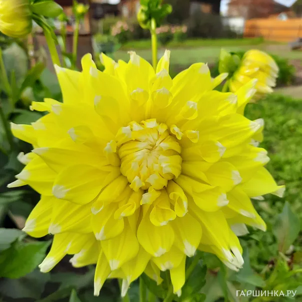 превью изображения отзыва