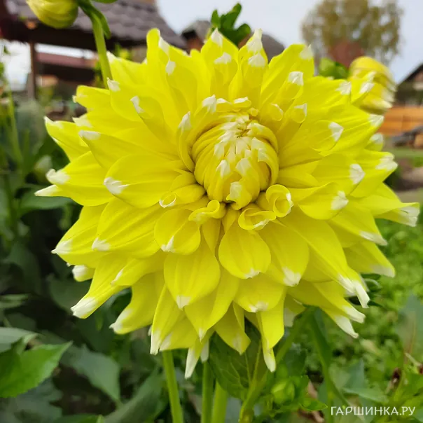 превью изображения отзыва