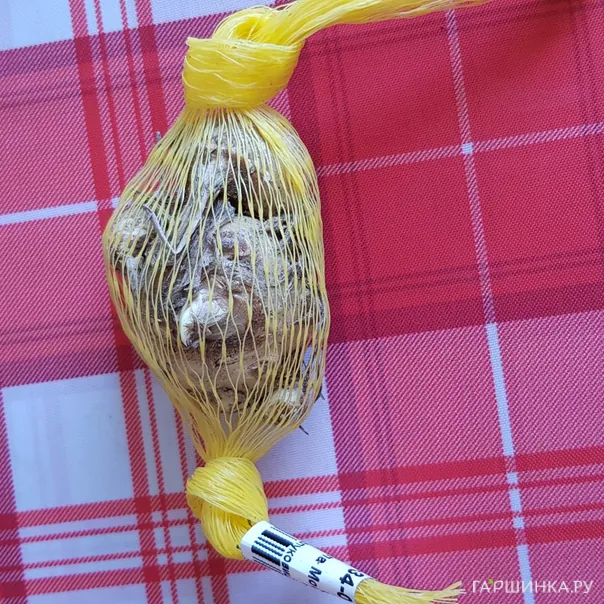 превью изображения отзыва