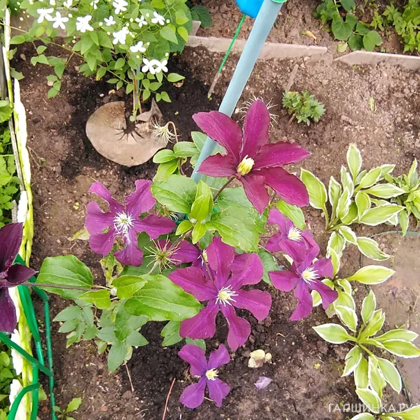 превью изображения отзыва