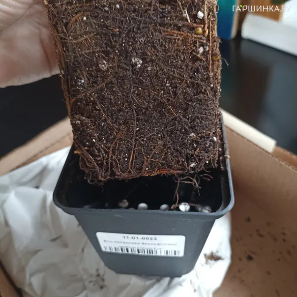 превью изображения отзыва