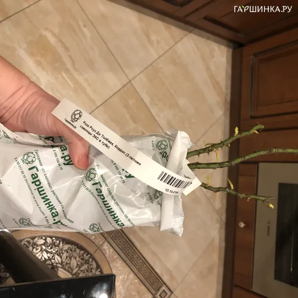 превью изображения отзыва