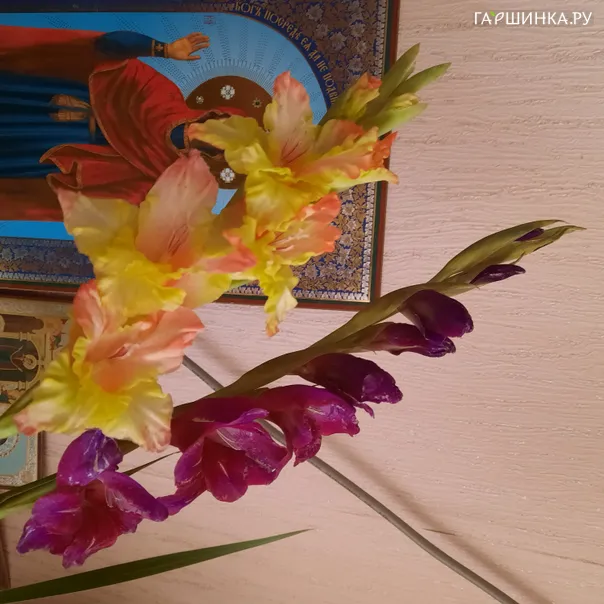 превью изображения отзыва