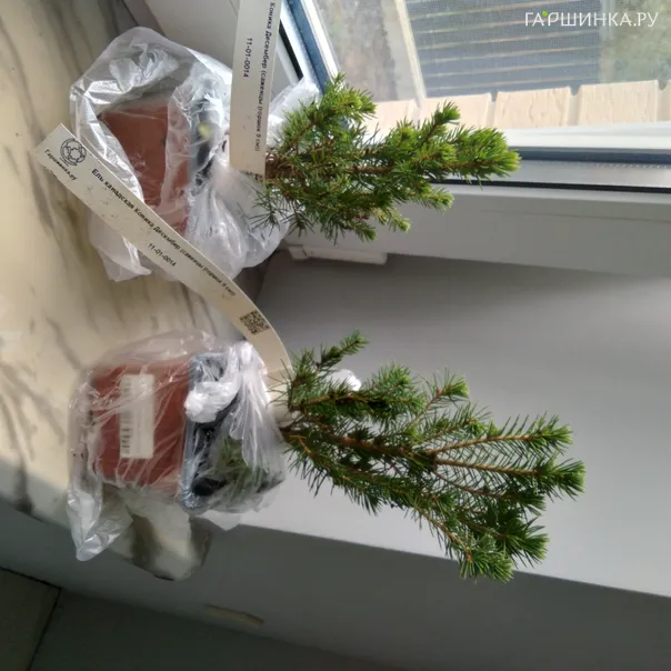 превью изображения отзыва