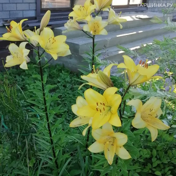 превью изображения отзыва