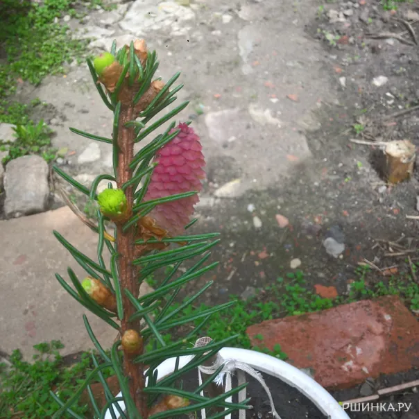 превью изображения отзыва