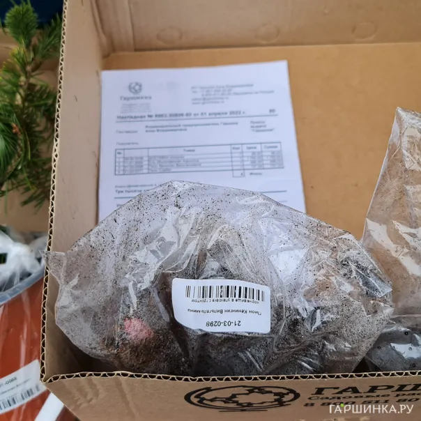 превью изображения отзыва