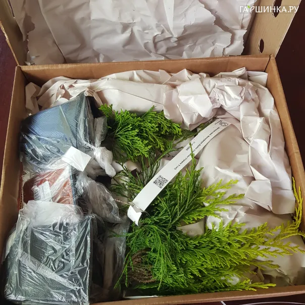превью изображения отзыва