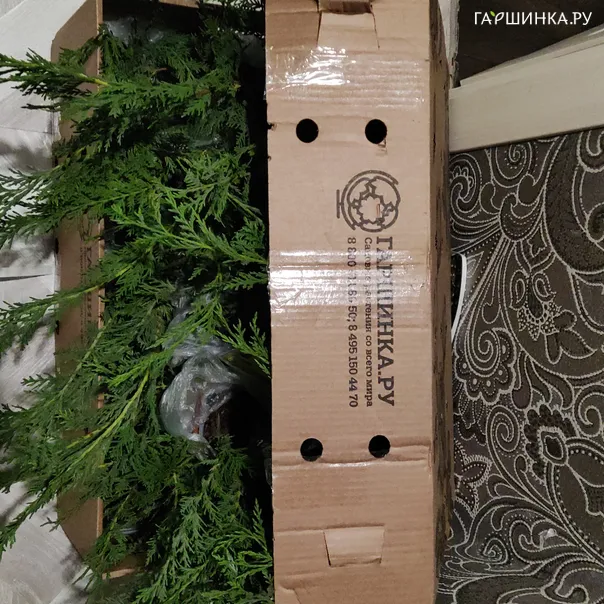 превью изображения отзыва