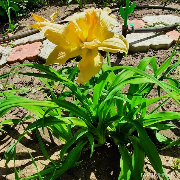 превью изображения отзыва