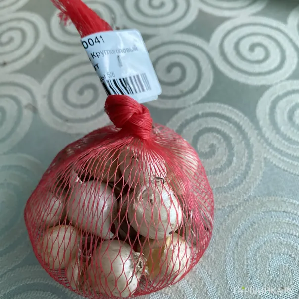 превью изображения отзыва