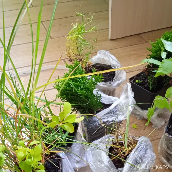 превью изображения отзыва