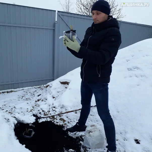 превью изображения отзыва