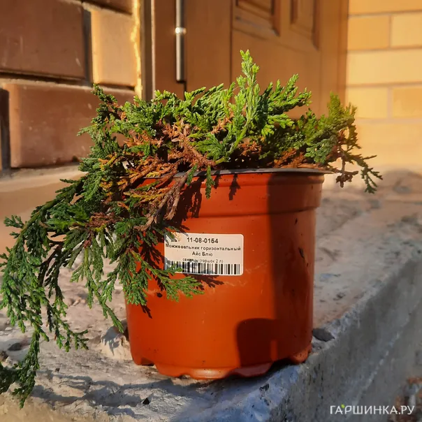 превью изображения отзыва