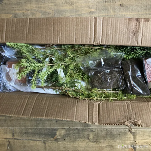 превью изображения отзыва