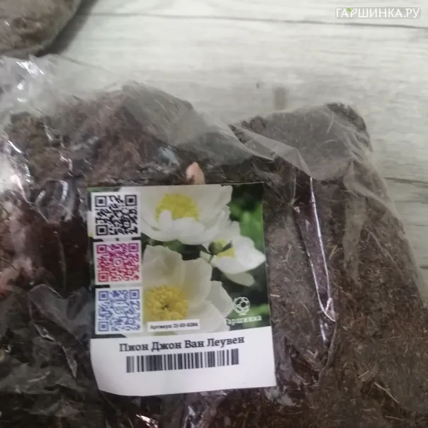 превью изображения отзыва