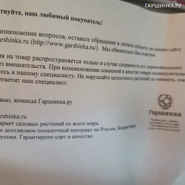 превью изображения отзыва