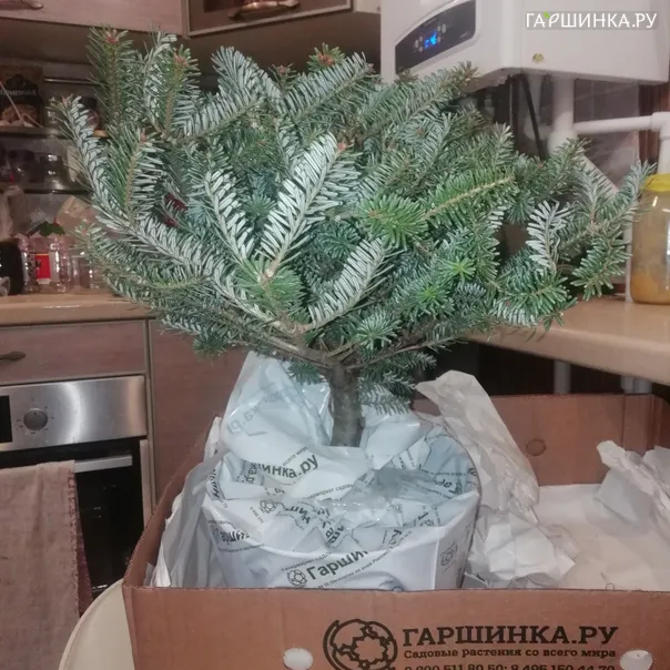 превью изображения отзыва