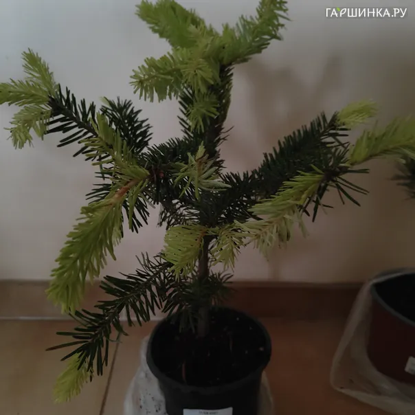превью изображения отзыва