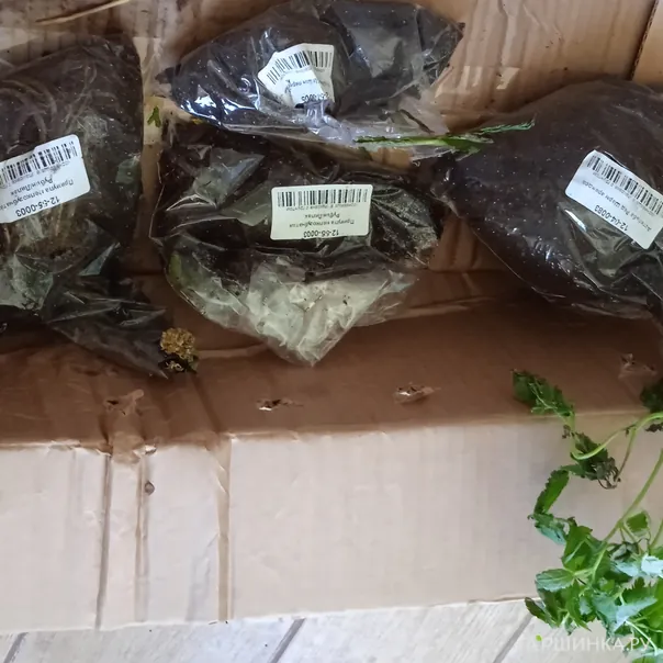 превью изображения отзыва