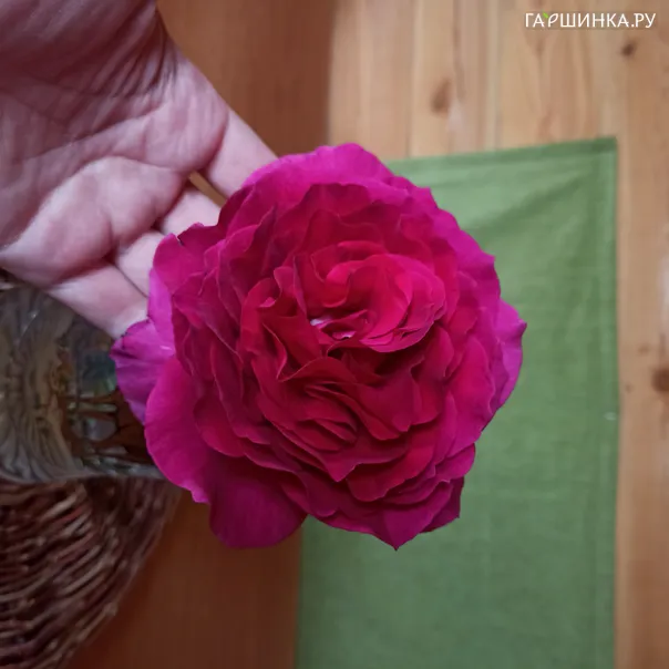 превью изображения отзыва