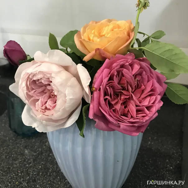 превью изображения отзыва