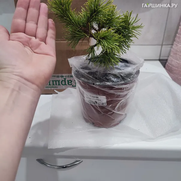 превью изображения отзыва