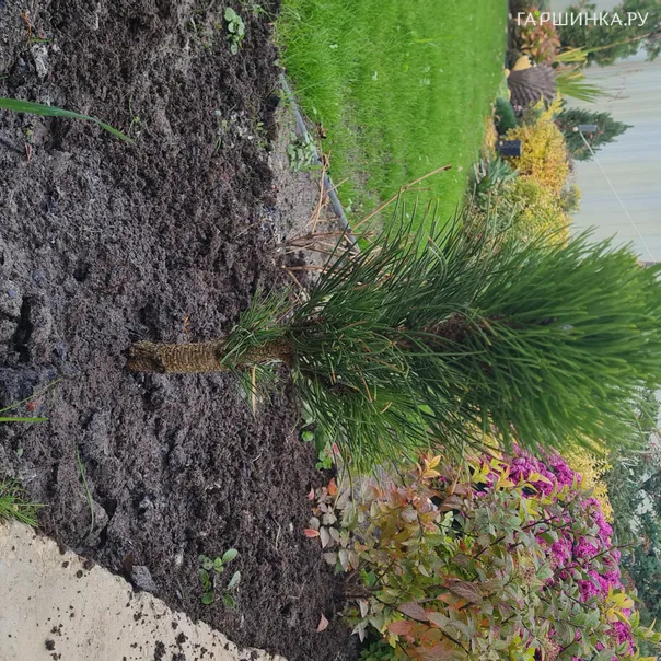 превью изображения отзыва