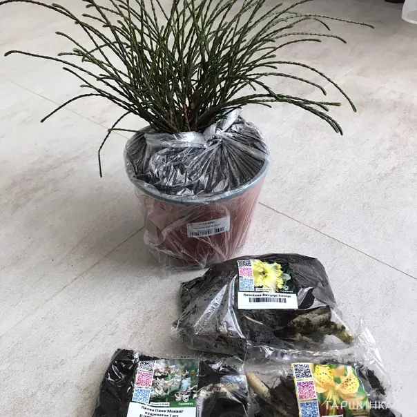 превью изображения отзыва