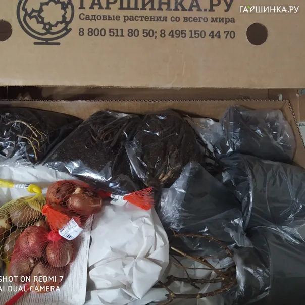 превью изображения отзыва