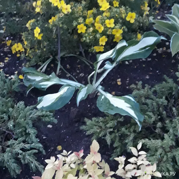 превью изображения отзыва