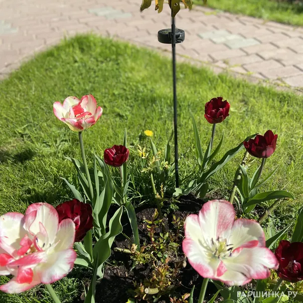 превью изображения отзыва