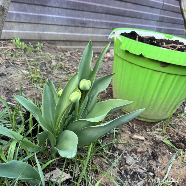 превью изображения отзыва