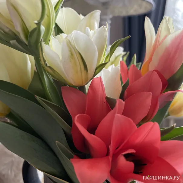 превью изображения отзыва