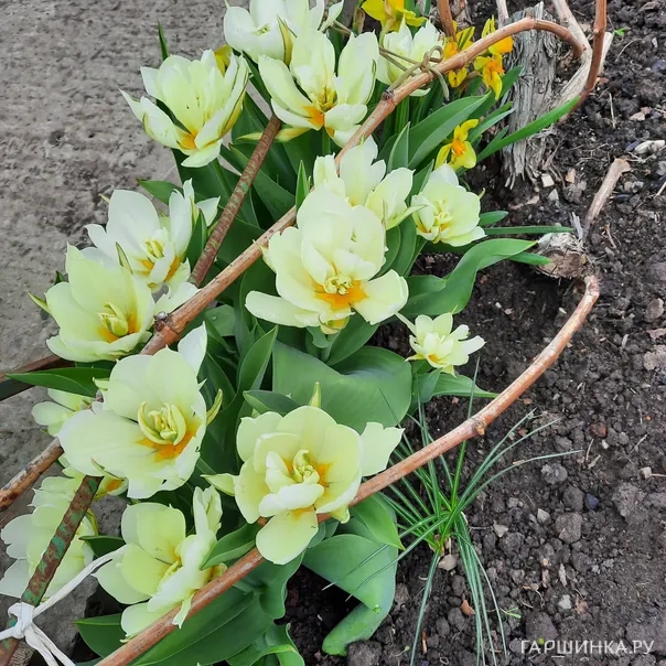 превью изображения отзыва