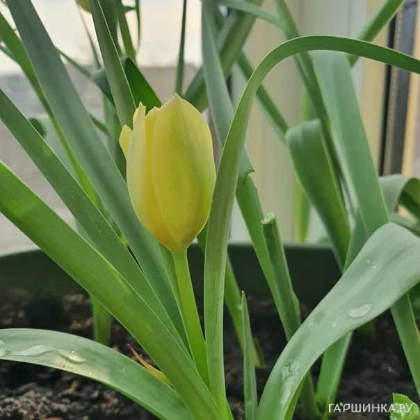 превью изображения отзыва