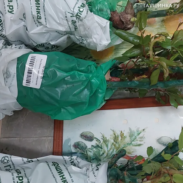 превью изображения отзыва