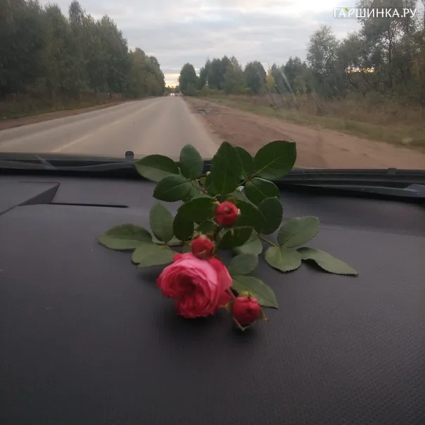 превью изображения отзыва