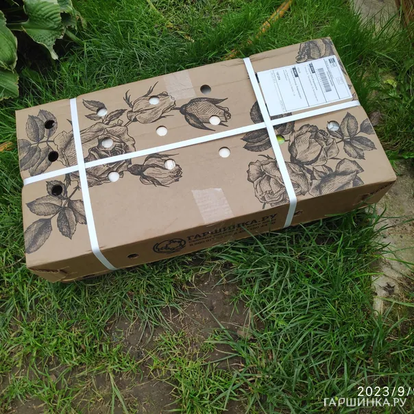 превью изображения отзыва