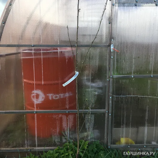 превью изображения отзыва