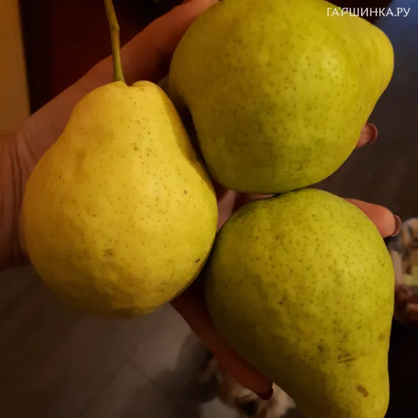 превью изображения отзыва