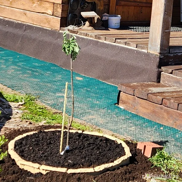 превью изображения отзыва