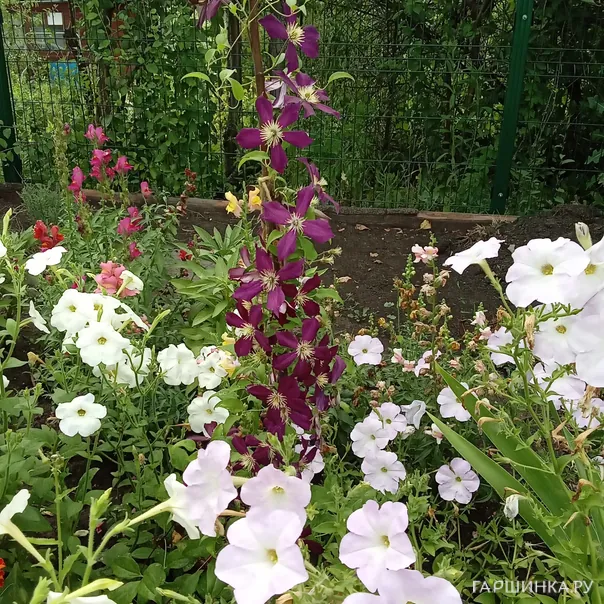 превью изображения отзыва