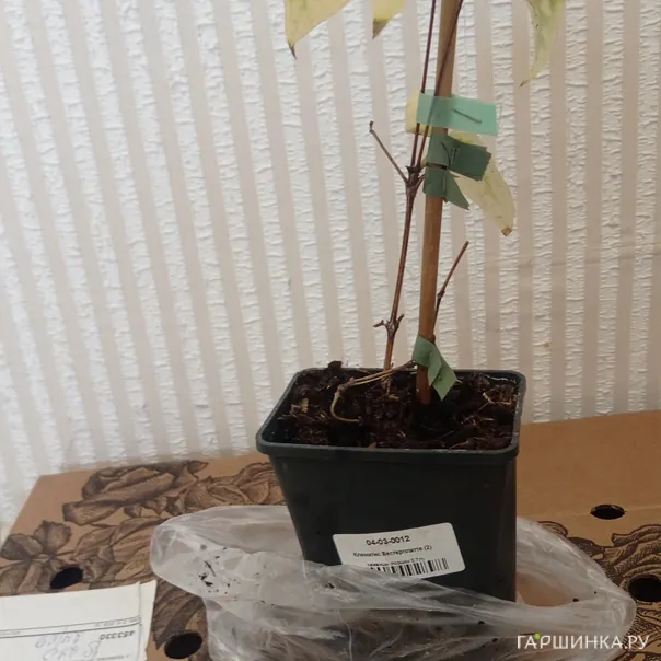 превью изображения отзыва