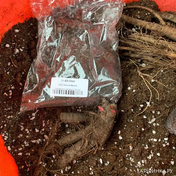 превью изображения отзыва