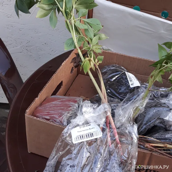 превью изображения отзыва