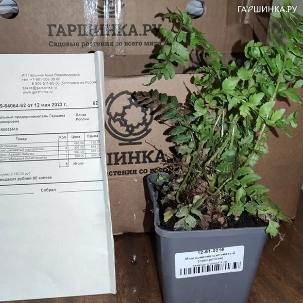 превью изображения отзыва